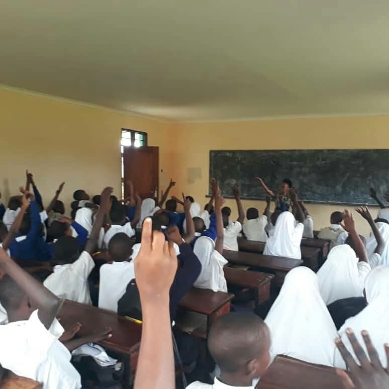 FASMO gallery image 9